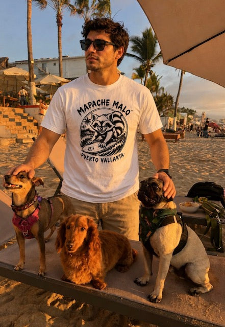Camiseta Blanca de Manga Corta con Cuello Redondo/White Short Sleeve Crewneck T-shirt